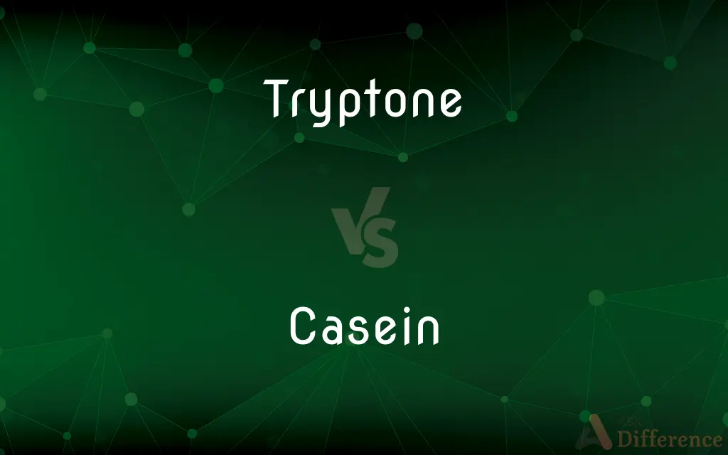 Tryptone vs. Casein — What's the Difference?