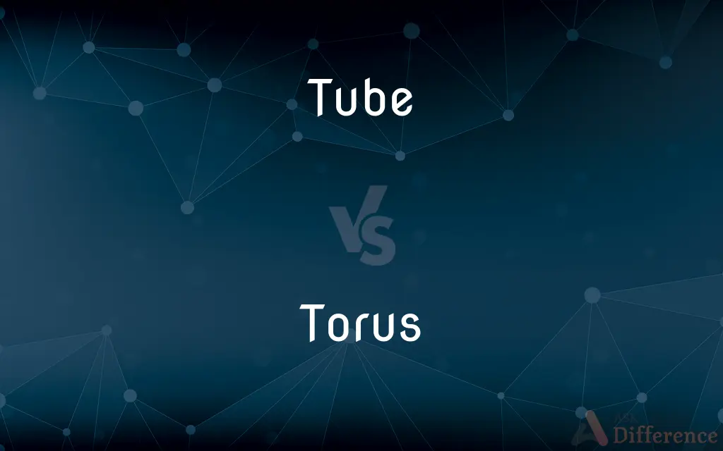 Tube vs. Torus — What's the Difference?