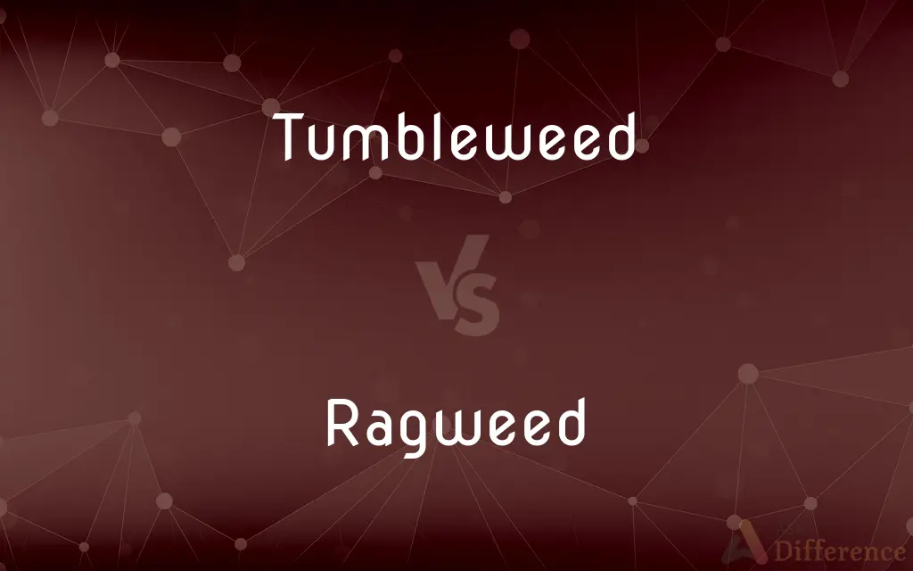 Tumbleweed vs. Ragweed — What's the Difference?