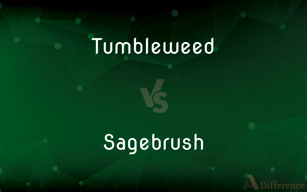 Tumbleweed vs. Sagebrush — What's the Difference?