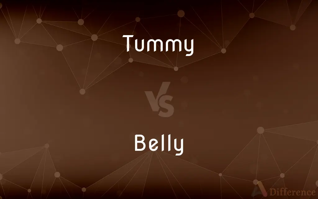 Tummy vs. Belly — What's the Difference?