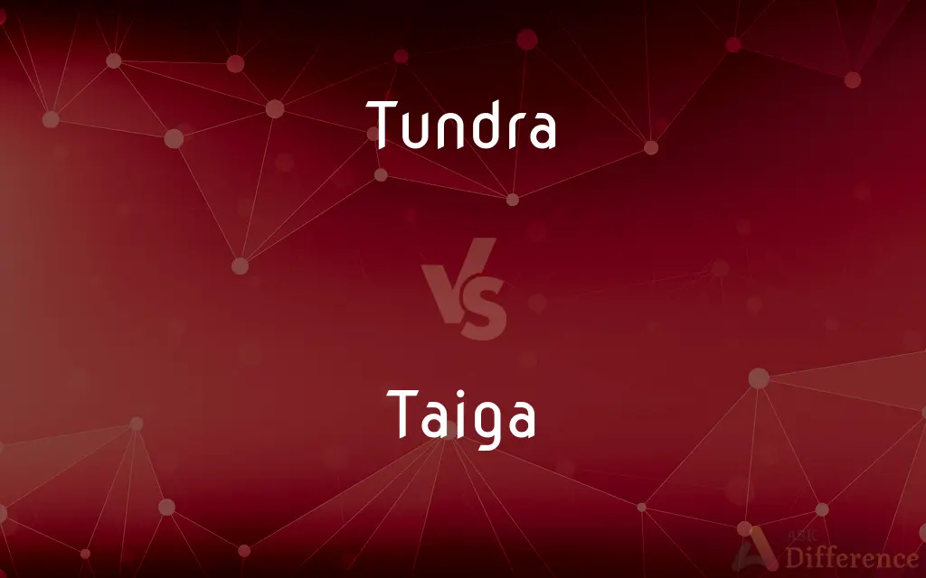 Tundra vs. Taiga — What's the Difference?