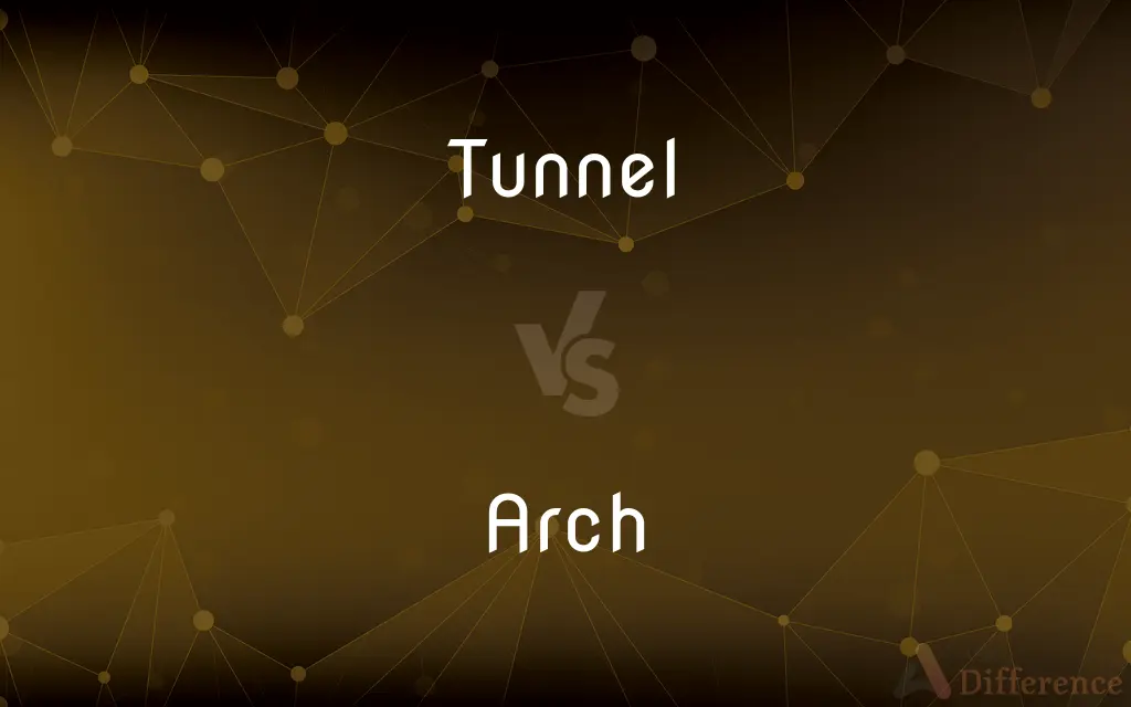 Tunnel vs. Arch — What's the Difference?