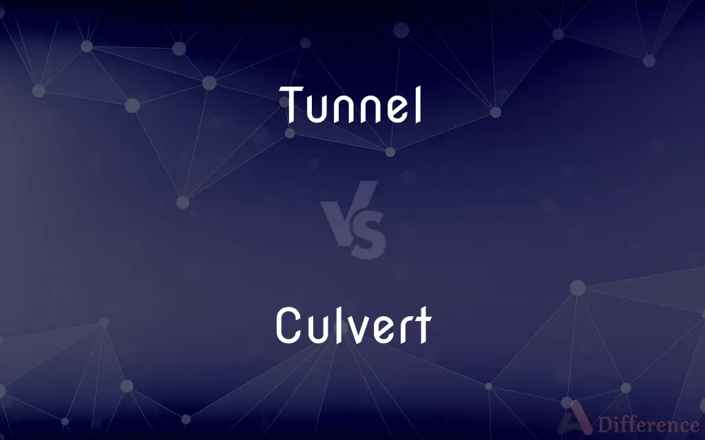 Tunnel vs. Culvert — What's the Difference?