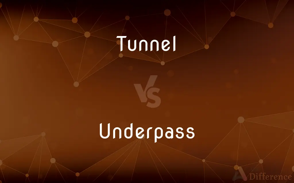 Tunnel vs. Underpass — What's the Difference?