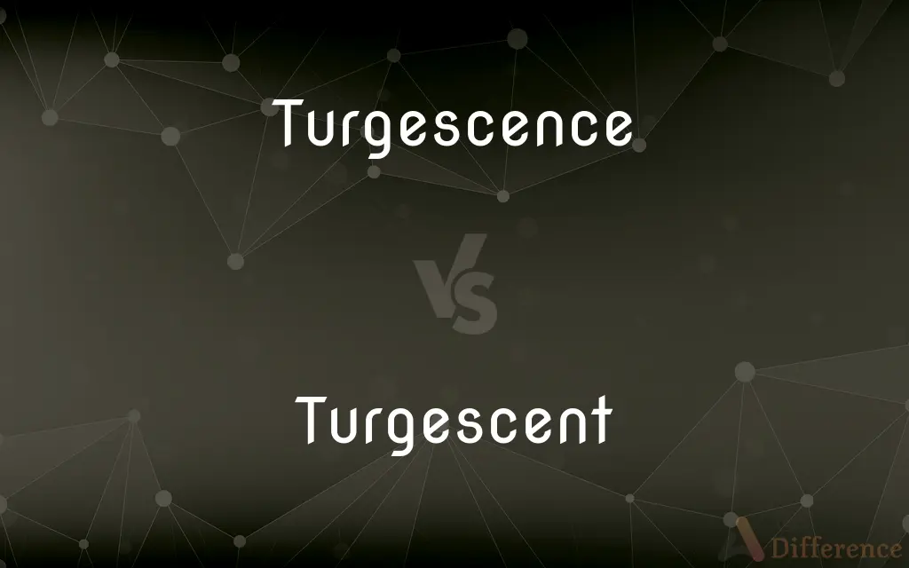 Turgescence vs. Turgescent — What's the Difference?