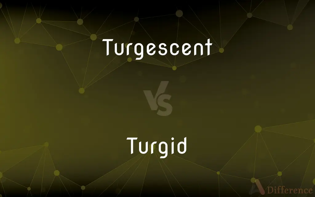 Turgescent vs. Turgid — What's the Difference?