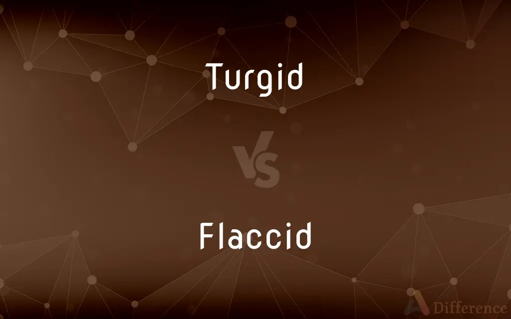 Turgid vs. Flaccid — What's the Difference?