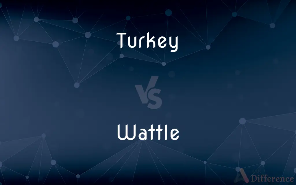 Turkey vs. Wattle — What's the Difference?