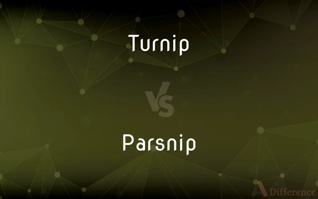 Turnip vs. Parsnip — What's the Difference?