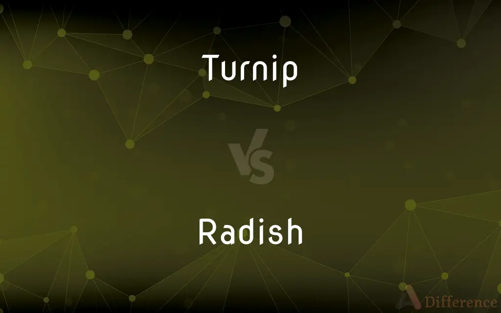 Turnip vs. Radish — What's the Difference?