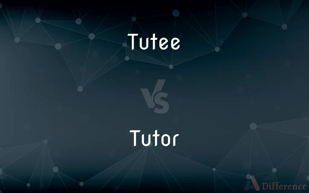Tutee vs. Tutor — What's the Difference?