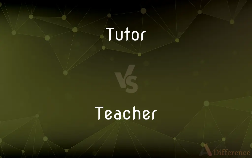 Tutor vs. Teacher — What's the Difference?