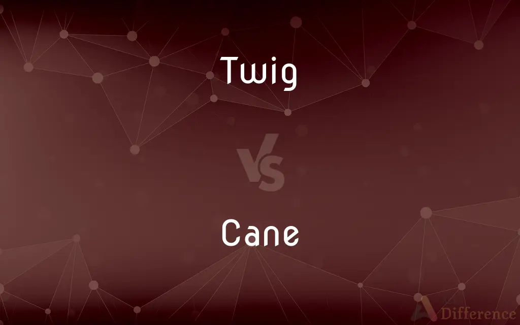 Twig vs. Cane — What's the Difference?