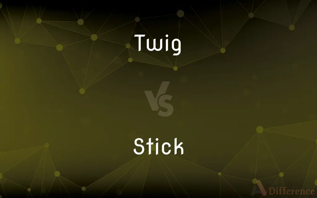 Twig vs. Stick — What's the Difference?