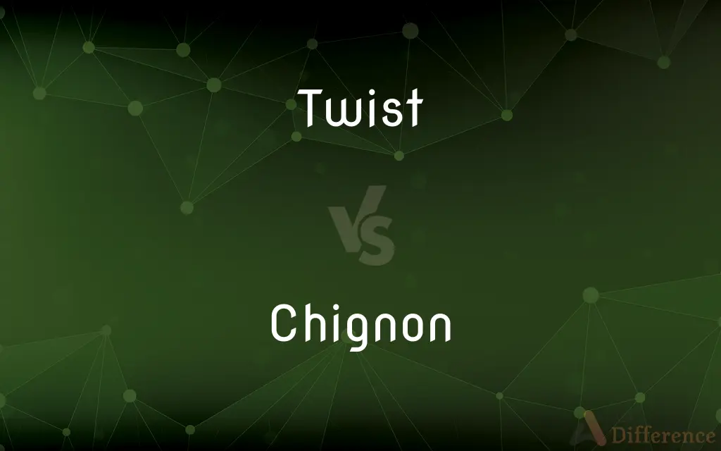 Twist vs. Chignon — What's the Difference?