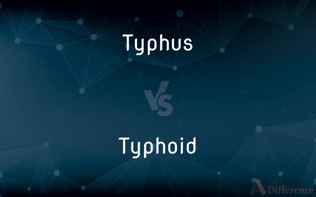 Typhus vs. Typhoid — What's the Difference?