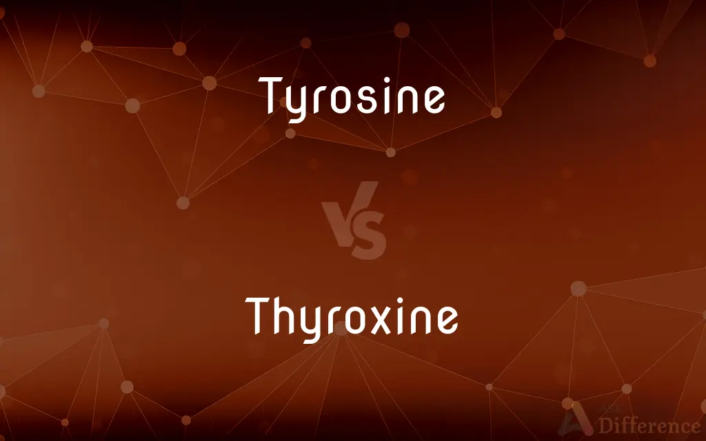 Tyrosine vs. Thyroxine — What's the Difference?
