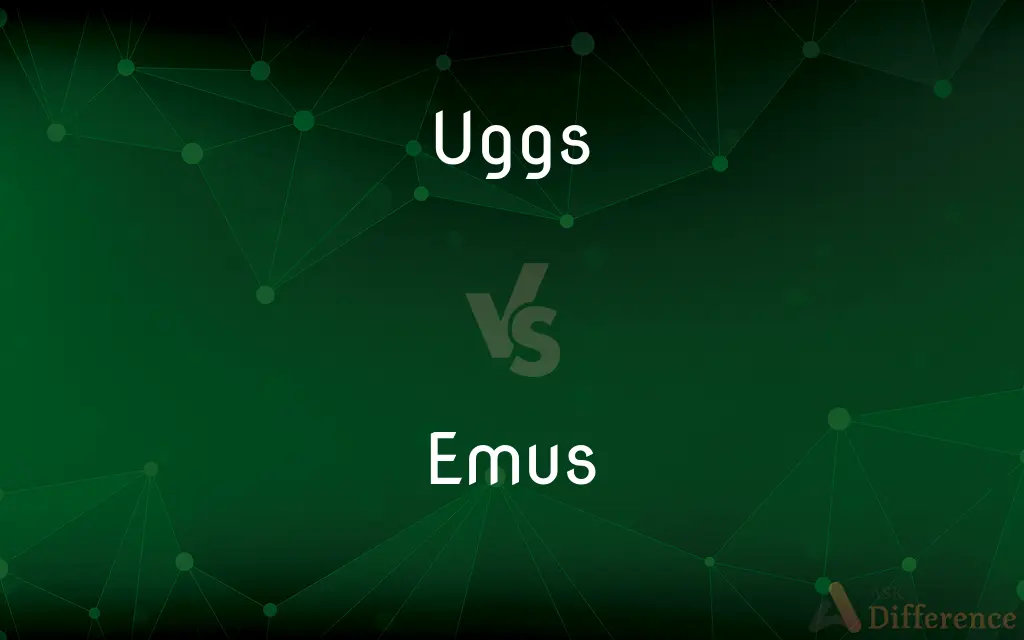 Uggs vs. Emus — What's the Difference?