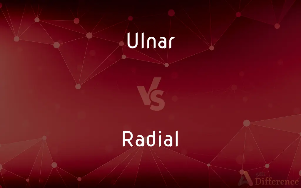 Ulnar vs. Radial — What's the Difference?