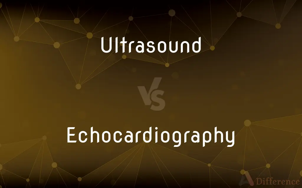 Ultrasound vs. Echocardiography — What's the Difference?