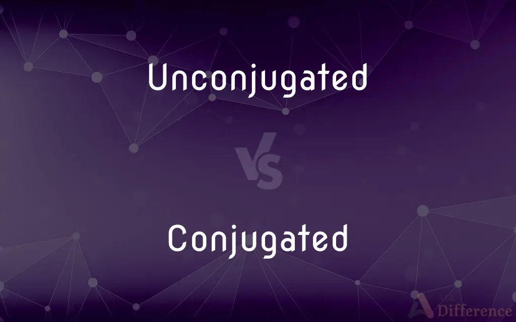 Unconjugated vs. Conjugated — What's the Difference?