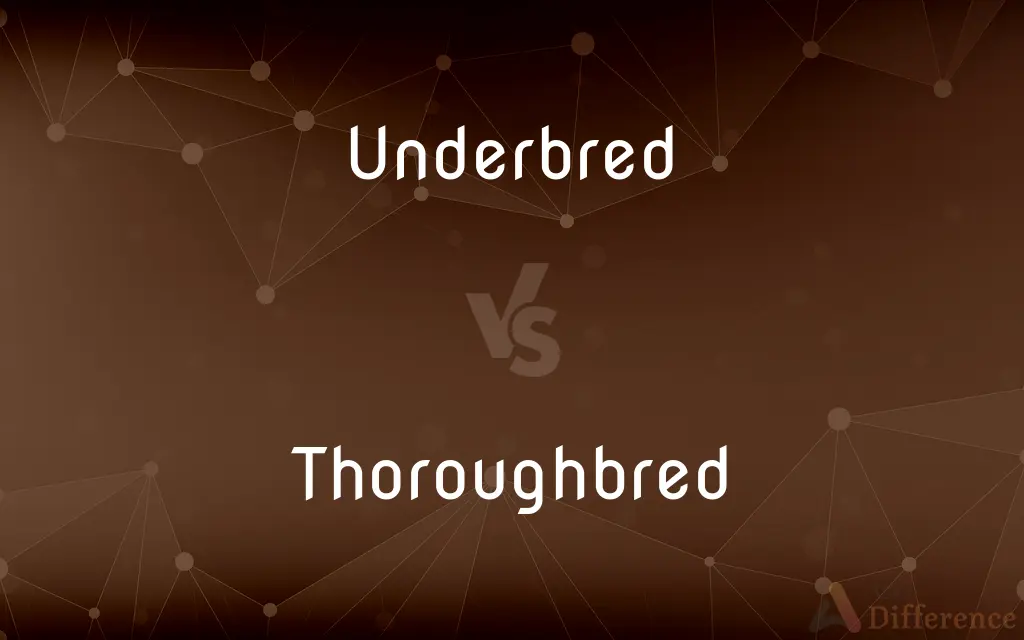 Underbred vs. Thoroughbred — What's the Difference?