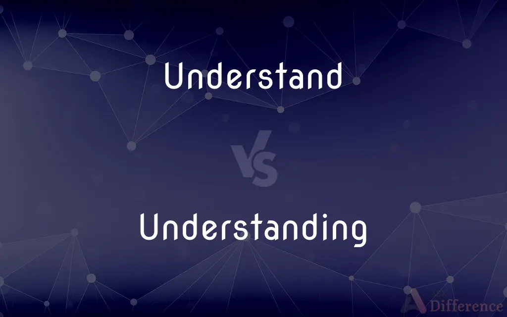 Understand vs. Understanding — What's the Difference?