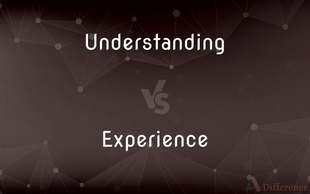 Understanding vs. Experience — What's the Difference?