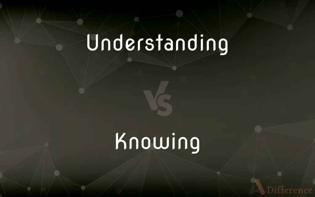 Understanding vs. Knowing — What's the Difference?