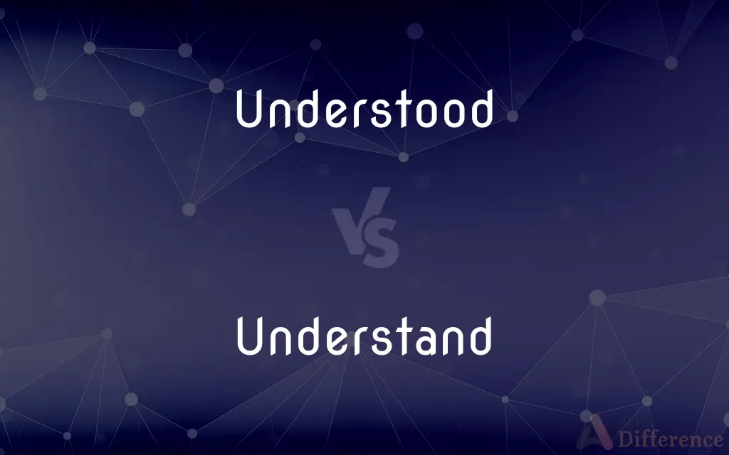 Understood vs. Understand — What's the Difference?
