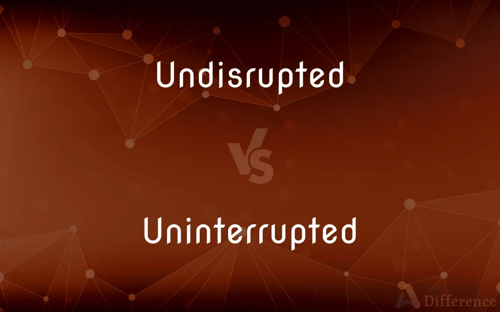 Undisrupted vs. Uninterrupted — What's the Difference?