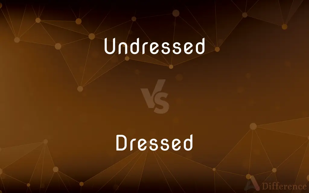 Undressed vs. Dressed — What's the Difference?