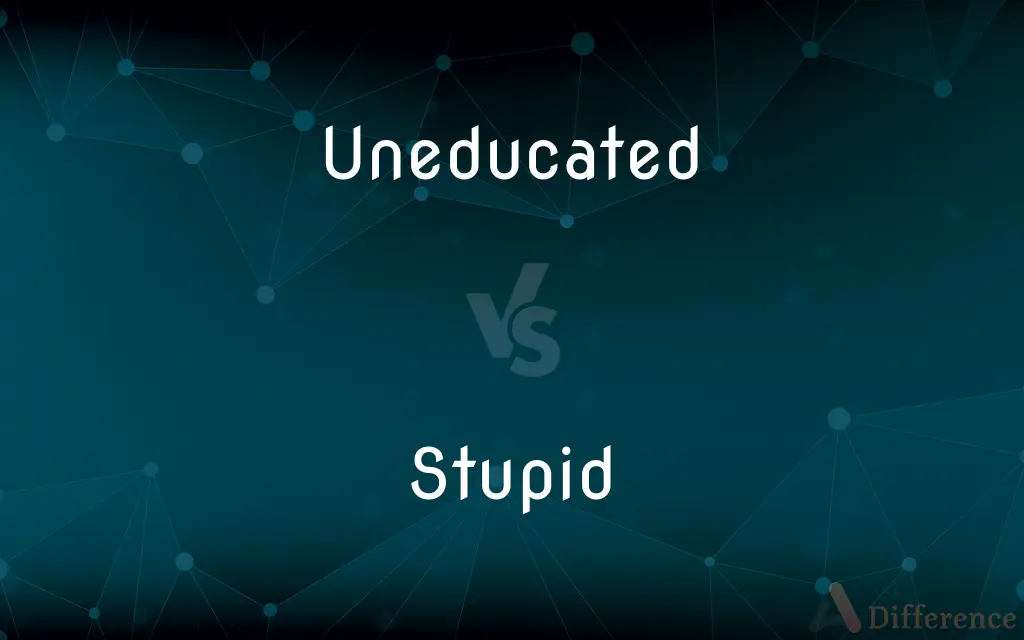 Uneducated vs. Stupid — What's the Difference?