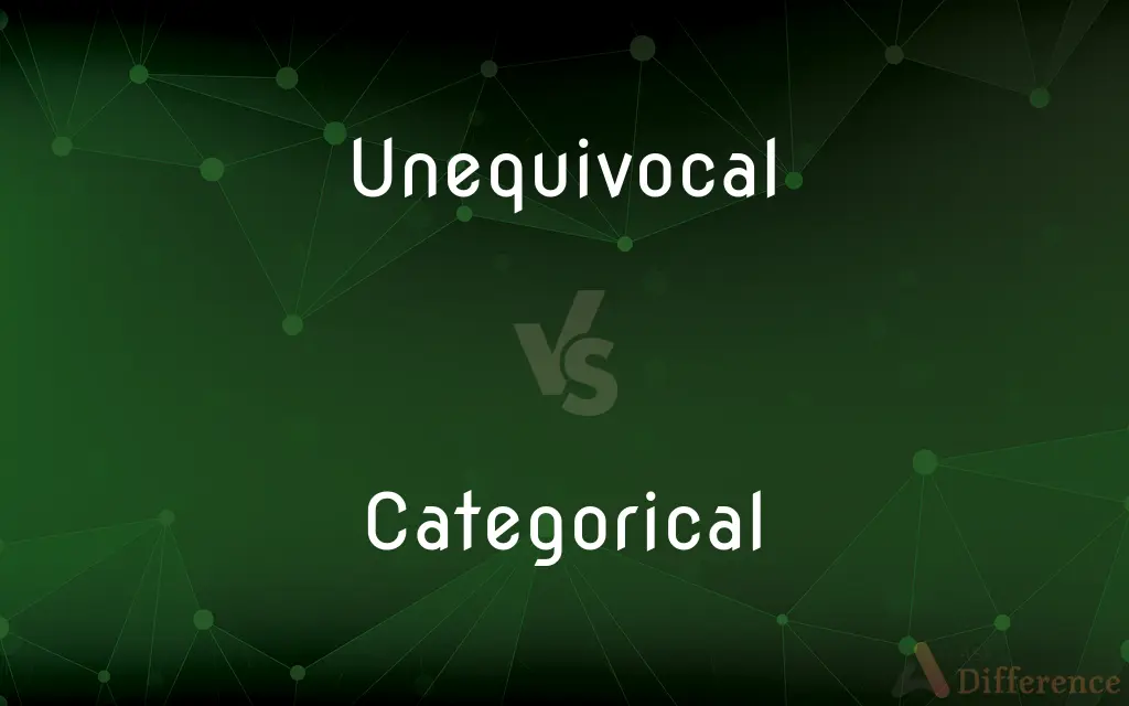 Unequivocal vs. Categorical — What's the Difference?