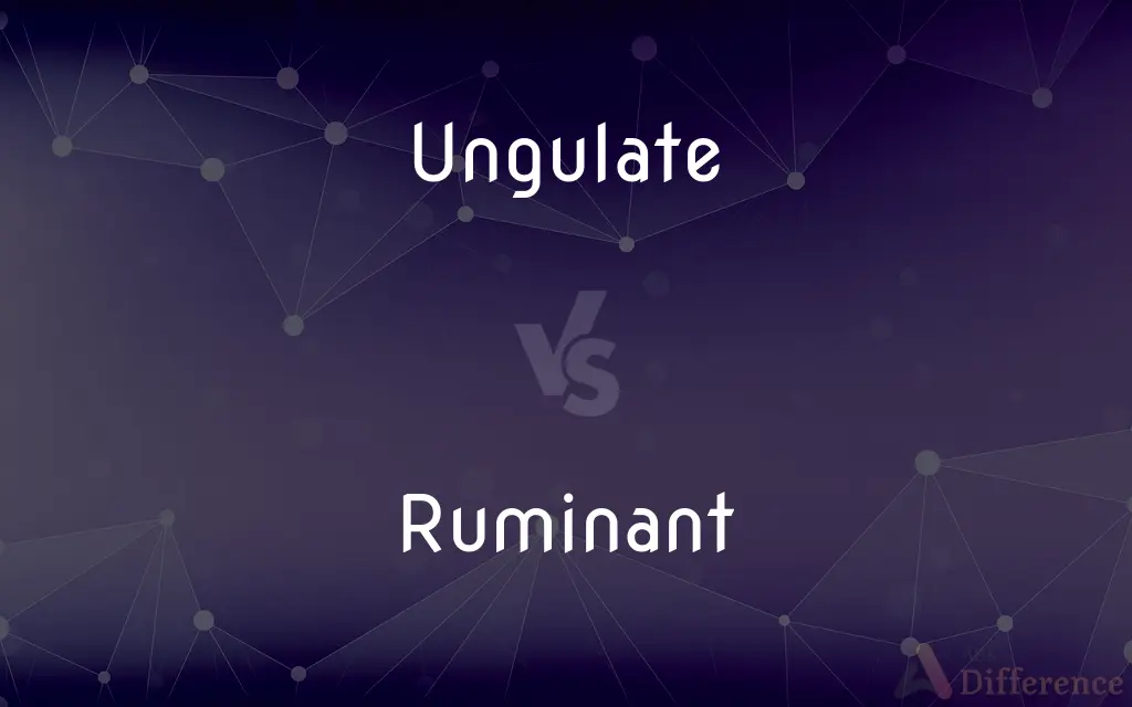 Ungulate vs. Ruminant — What's the Difference?