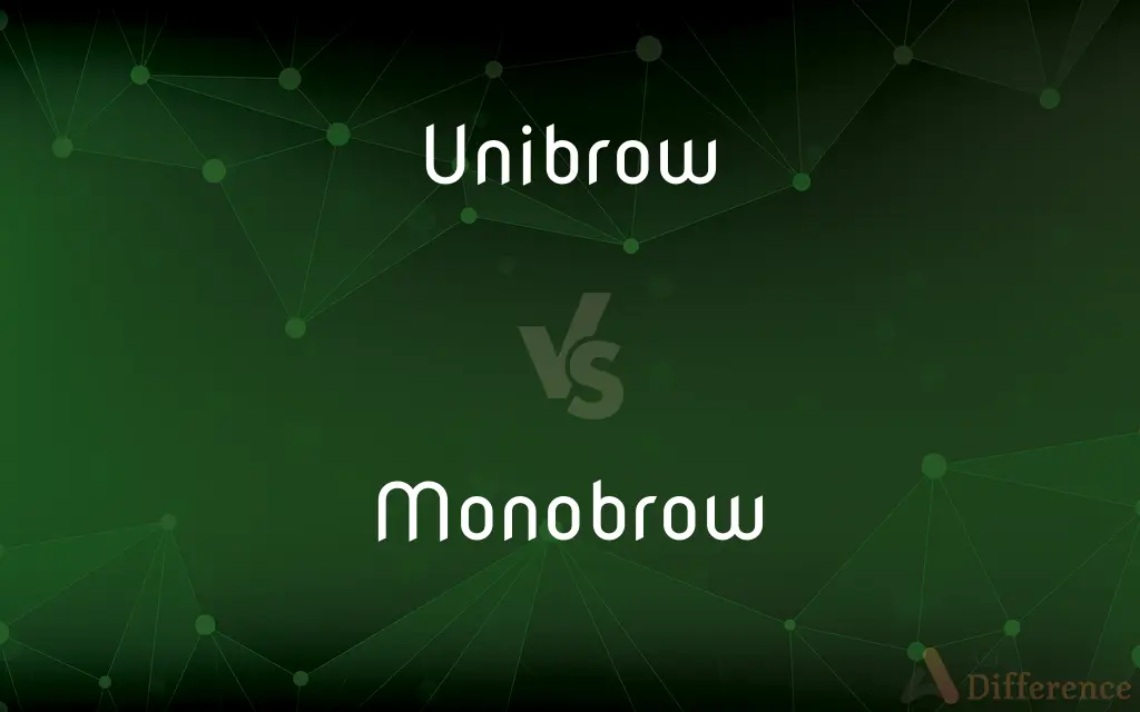 Unibrow vs. Monobrow — What's the Difference?