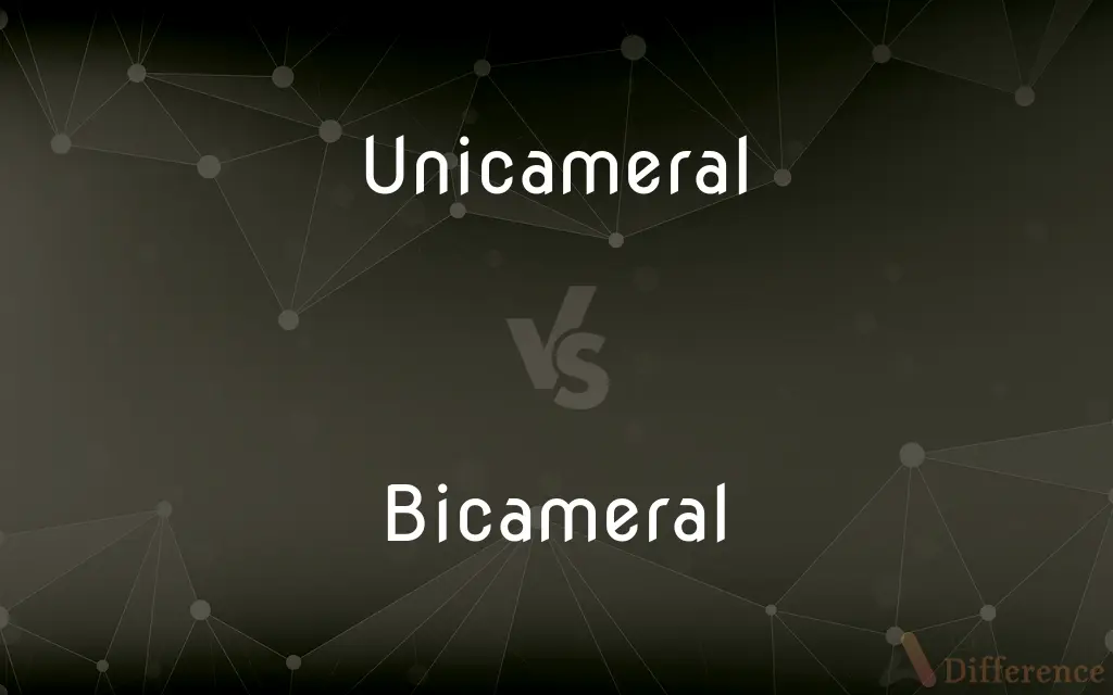 Unicameral vs. Bicameral — What's the Difference?