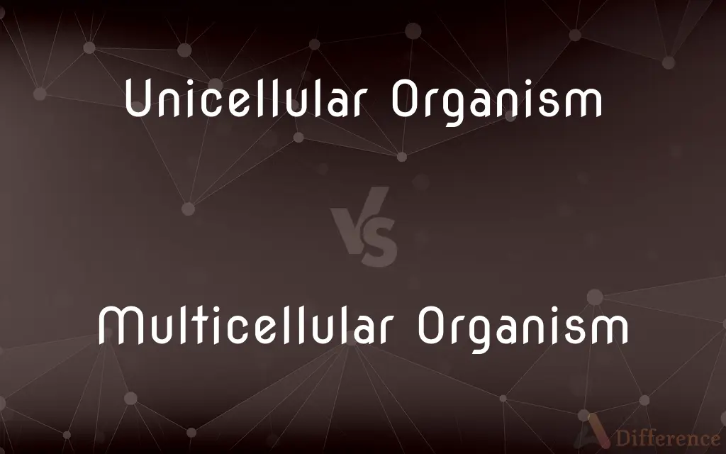 Unicellular Organism vs. Multicellular Organism — What's the Difference?