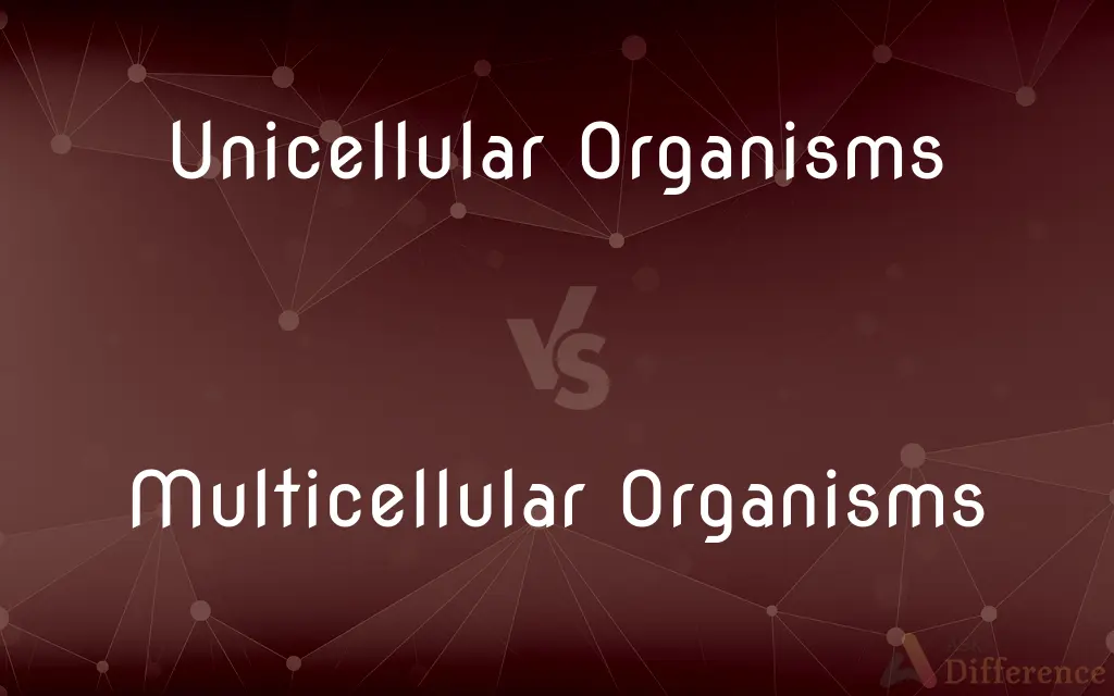 Unicellular Organisms vs. Multicellular Organisms — What's the Difference?