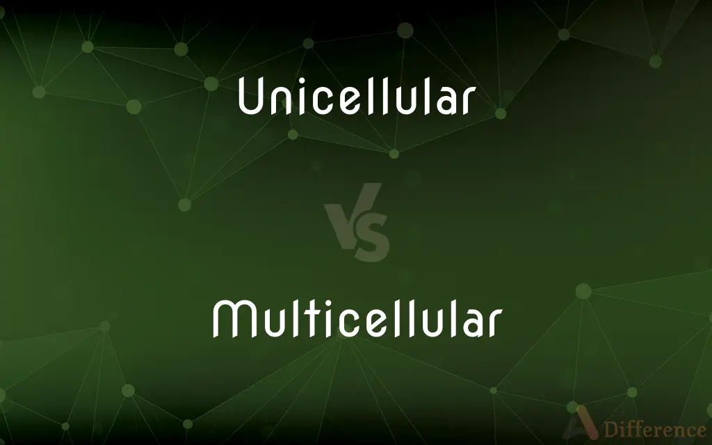 Unicellular vs. Multicellular — What's the Difference?