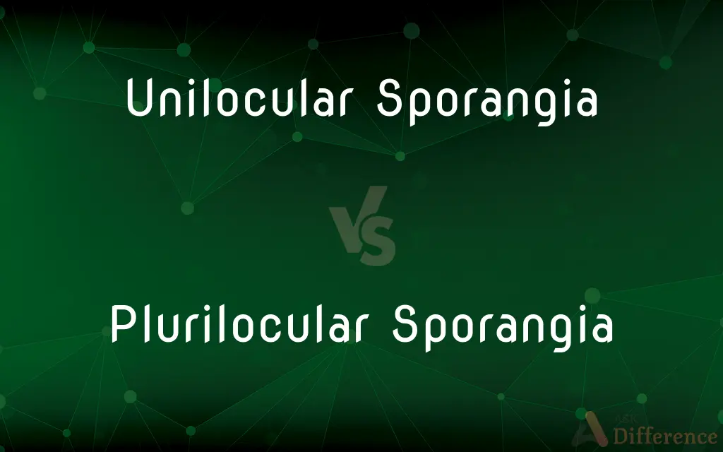 Unilocular Sporangia vs. Plurilocular Sporangia — What's the Difference?