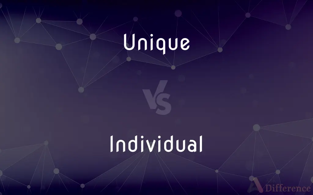 Unique vs. Individual — What's the Difference?
