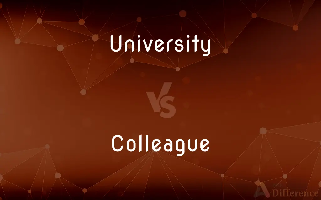 University vs. Colleague — What's the Difference?