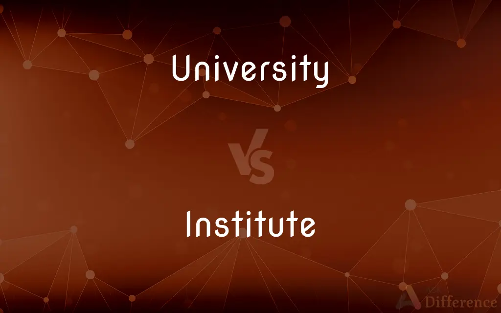 University vs. Institute — What's the Difference?