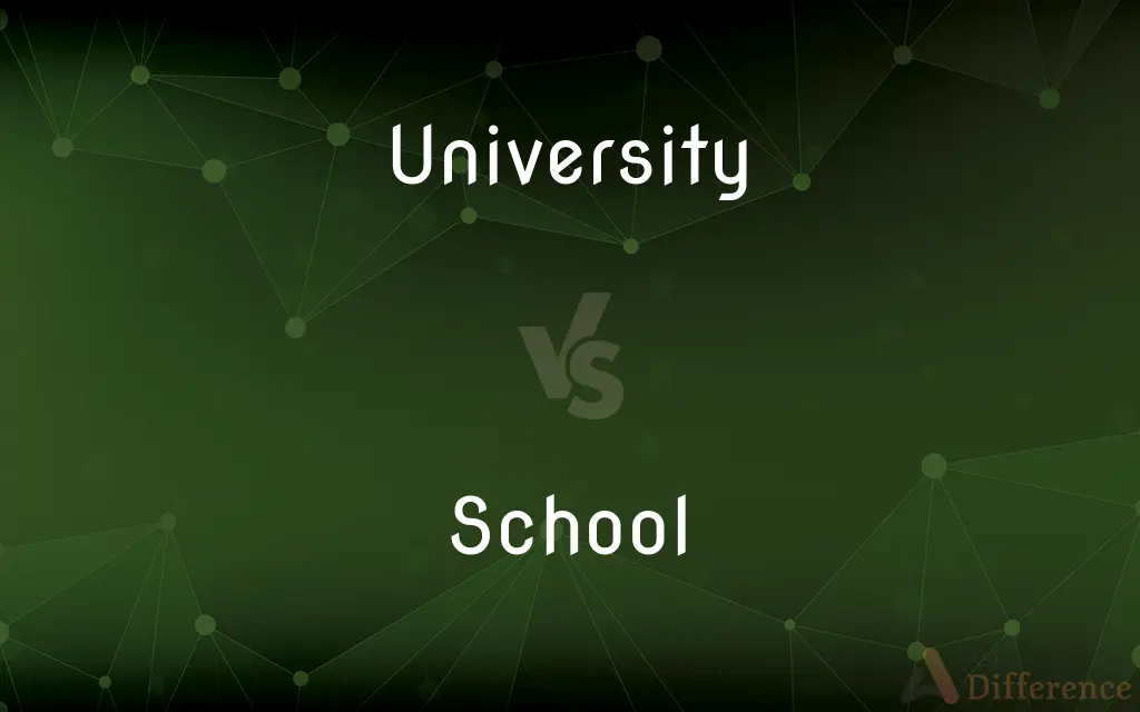 University vs. School — What's the Difference?