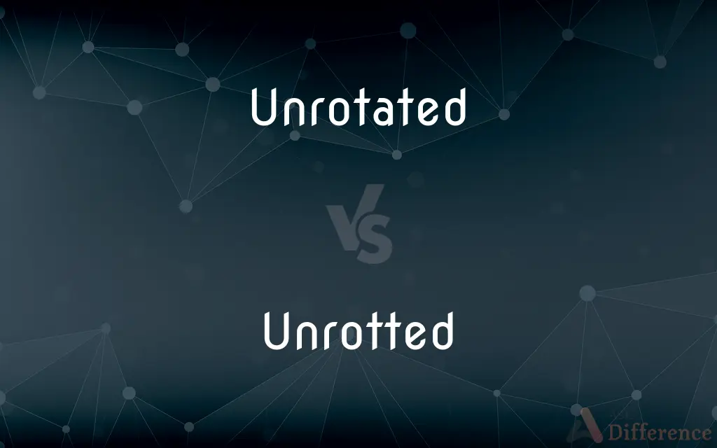 Unrotated vs. Unrotted — What's the Difference?