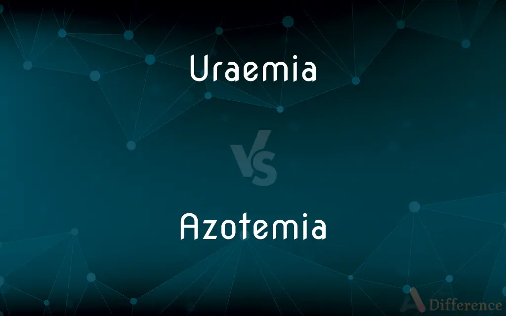 Uraemia vs. Azotemia — What's the Difference?