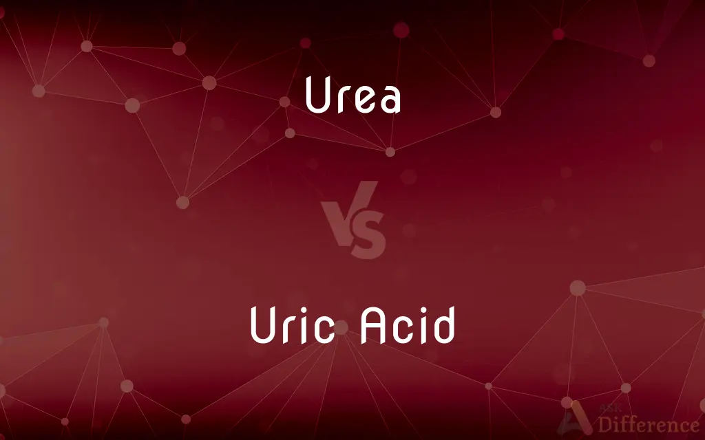Urea vs. Uric Acid — What's the Difference?