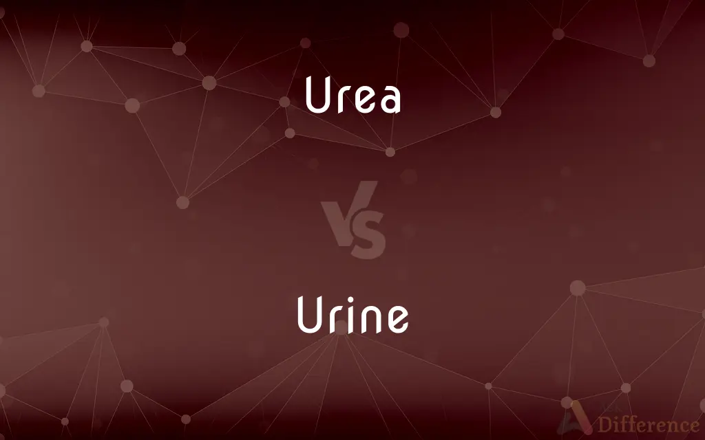 Urea vs. Urine — What's the Difference?